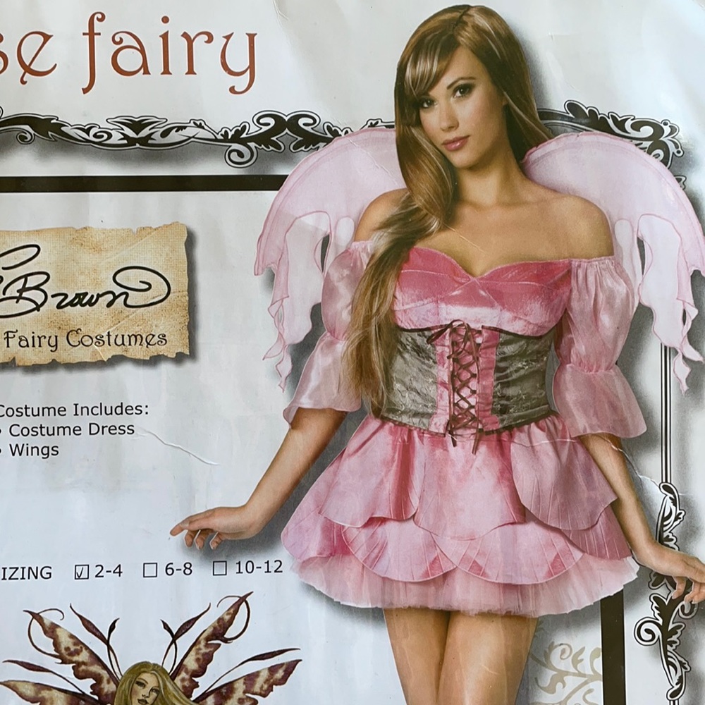 Fairy dress costume